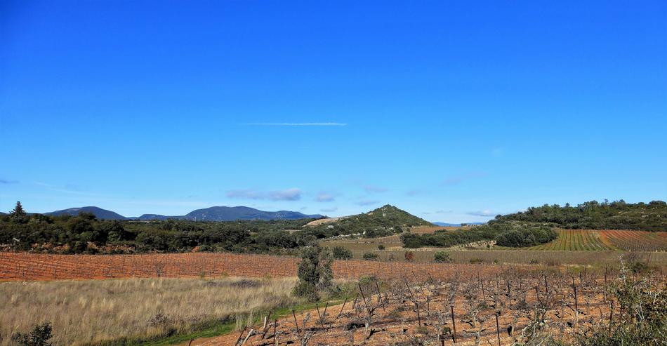 landscape with sky and dry field