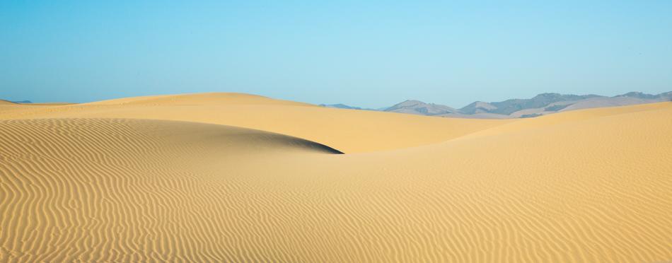 Desert Dune Sand