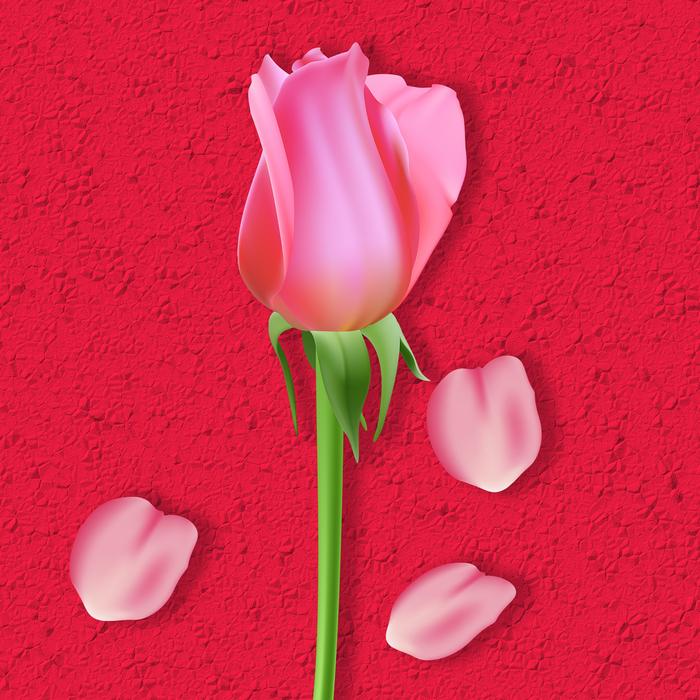 plant flower flowers background