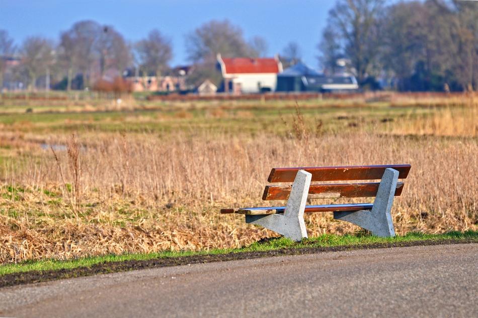 Bench Wooden Seat