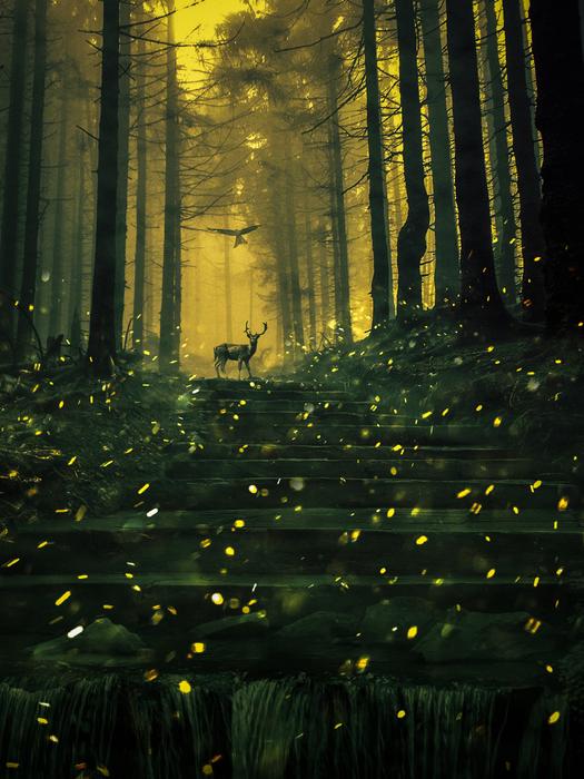 Light Tree Nature