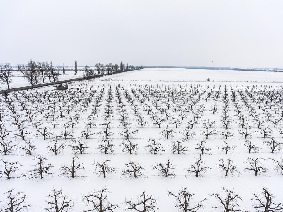 Nature Nobody Farm Winter