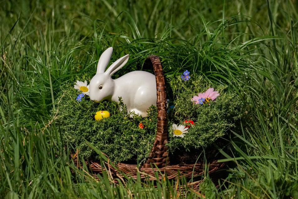 Osterkorb Easter Bunny White