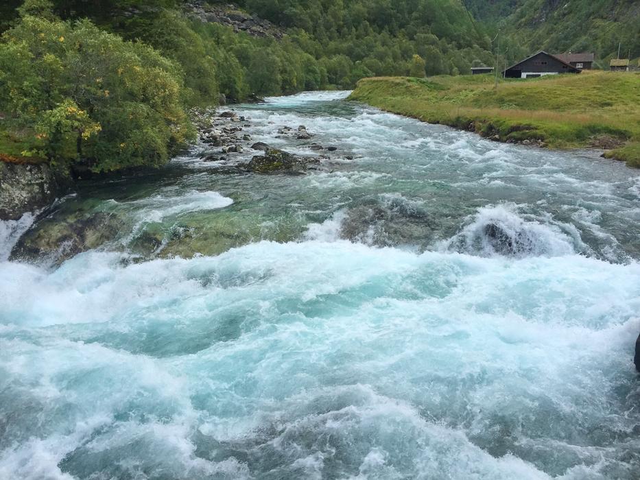 the waves on the green meadow are beautiful