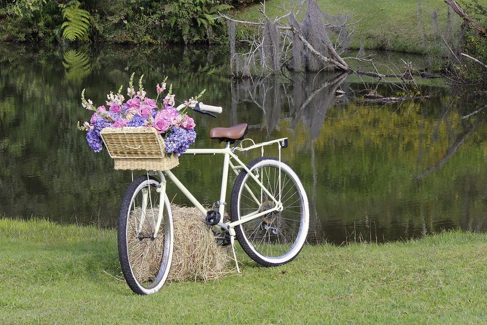Lawn Bike Old Nature