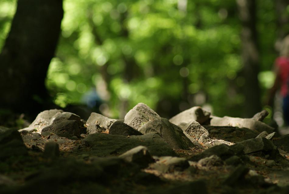 stones in the park people