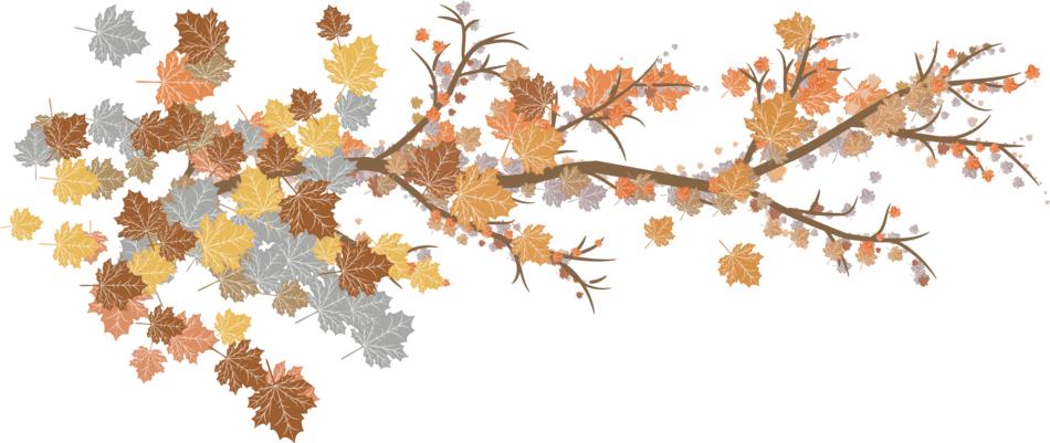 leaves branches autumn nature