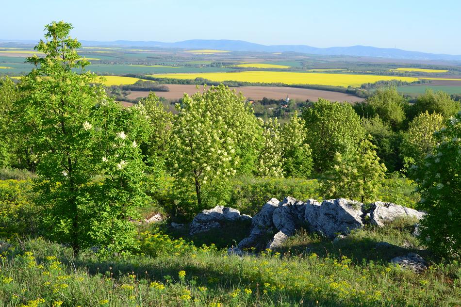 Landscape Baranya Villany Hills
