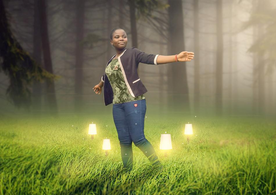 Happiness Lawn Forest