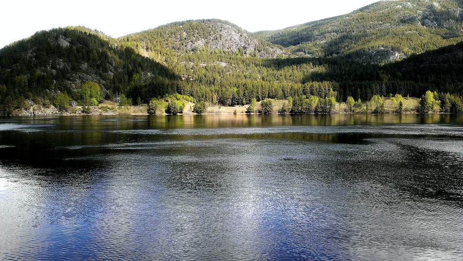 Norway Waters Nature