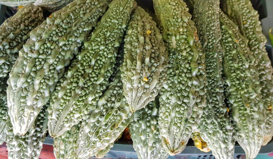 Bitter Gourd Melon