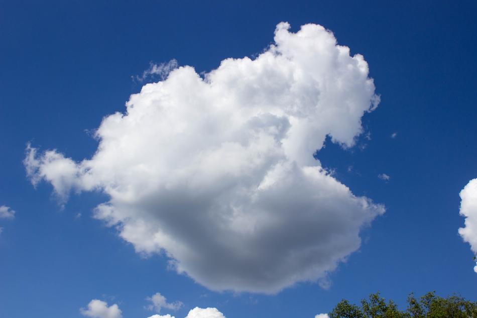 Nature Sky Summer