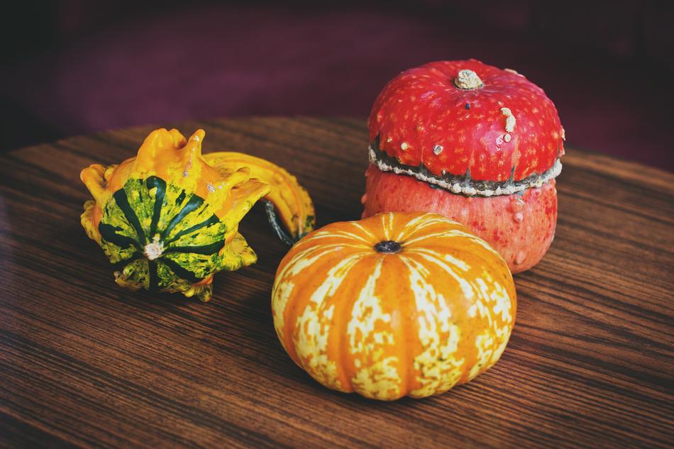 Nature Halloween Olsztyn