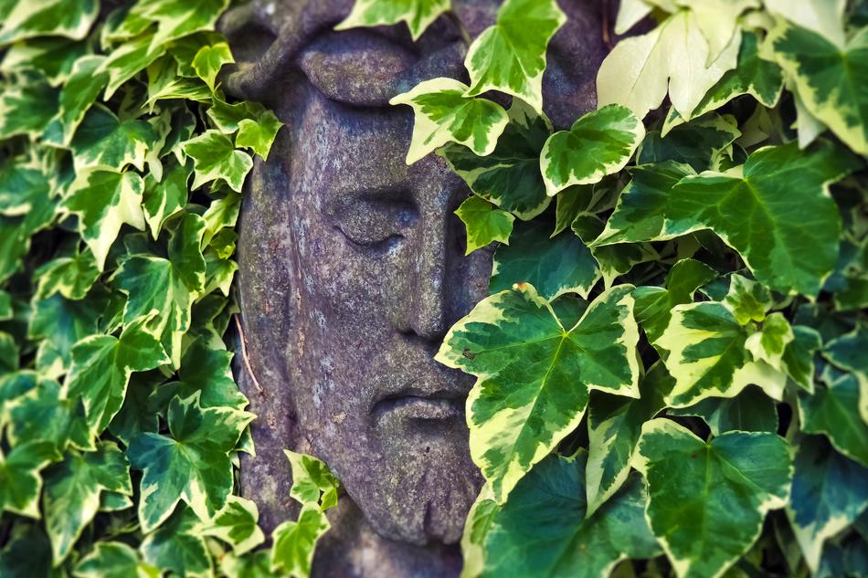 Tombstone Face Cemetery