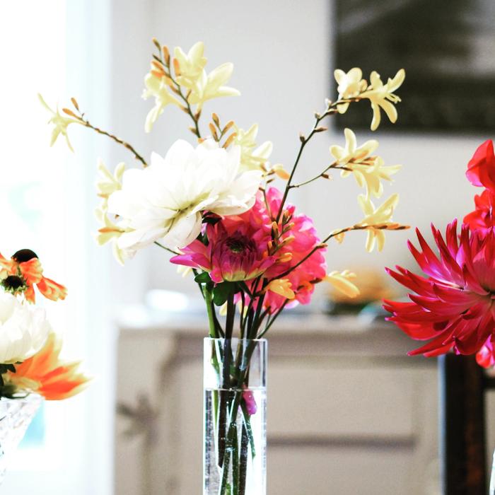 Flower Vase Nature