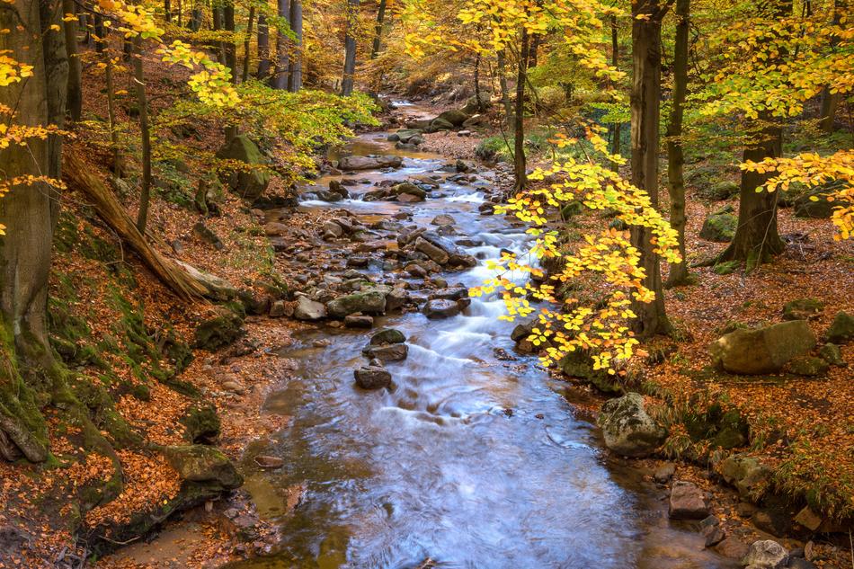 Fall Foliage Ilse Long Exposure