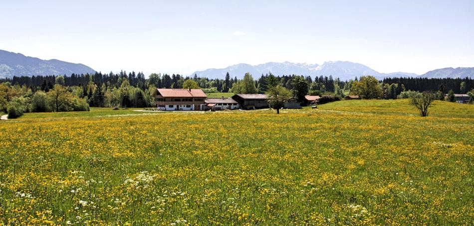 Nature Landscape Panorama