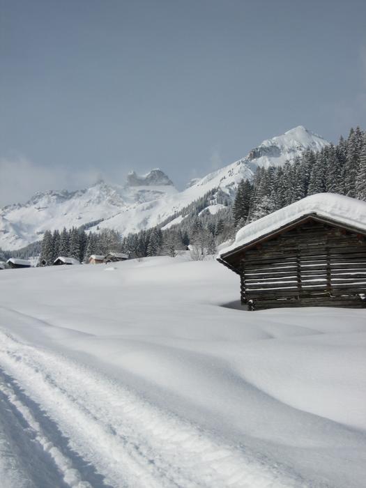 Snow Winter Mountain