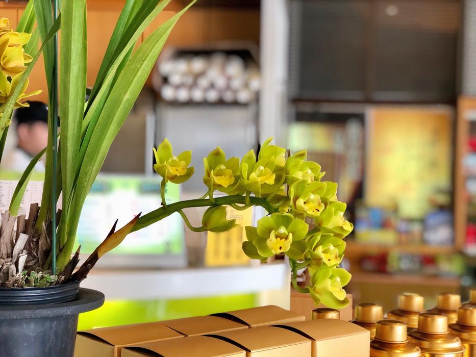 Tea Flower Vase