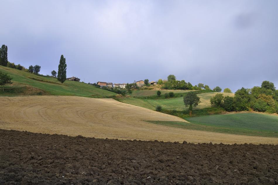 Landscape Nature Panoramic