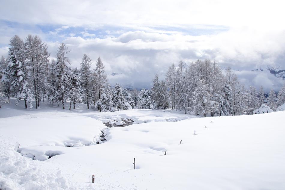 Snow Winter Cold