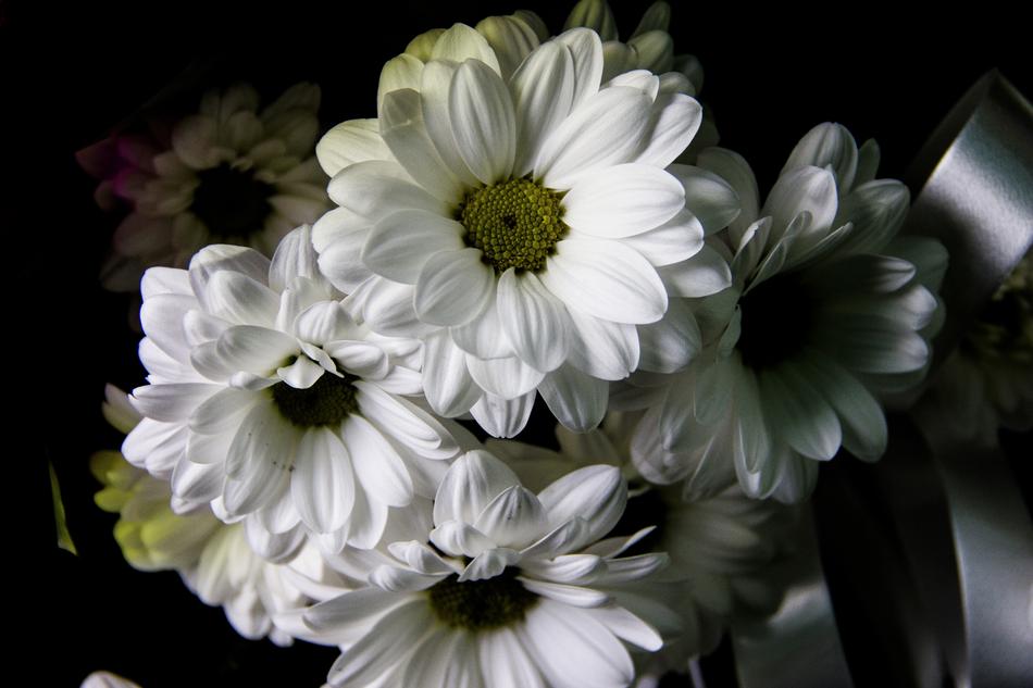 Chrysanthemum Bouquet Krupnyj Plan