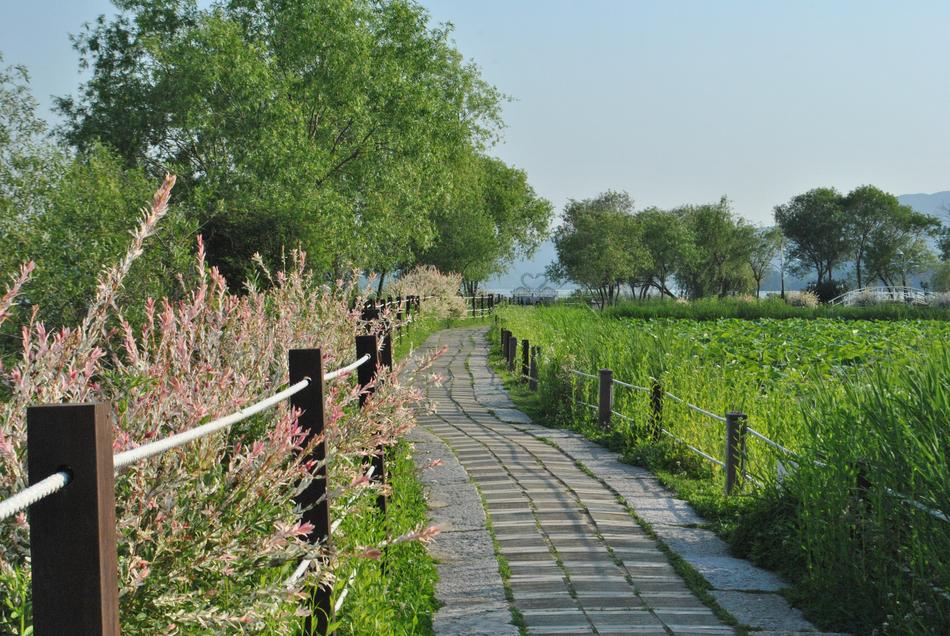 Gil Nature Garden