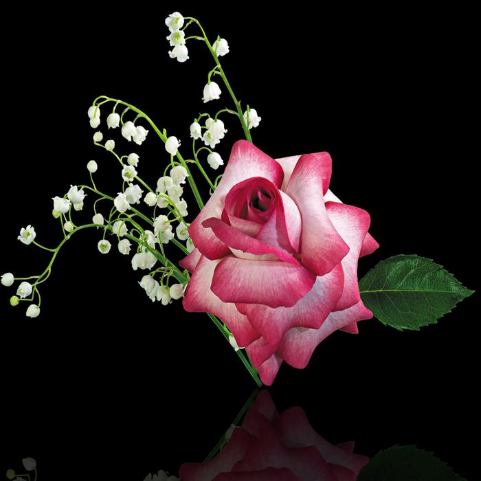 not a real flower