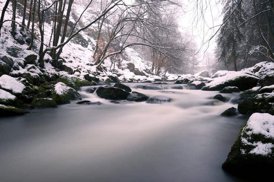 Snow Winter Cold