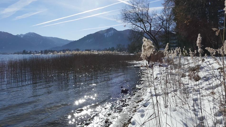 Snow Winter Nature