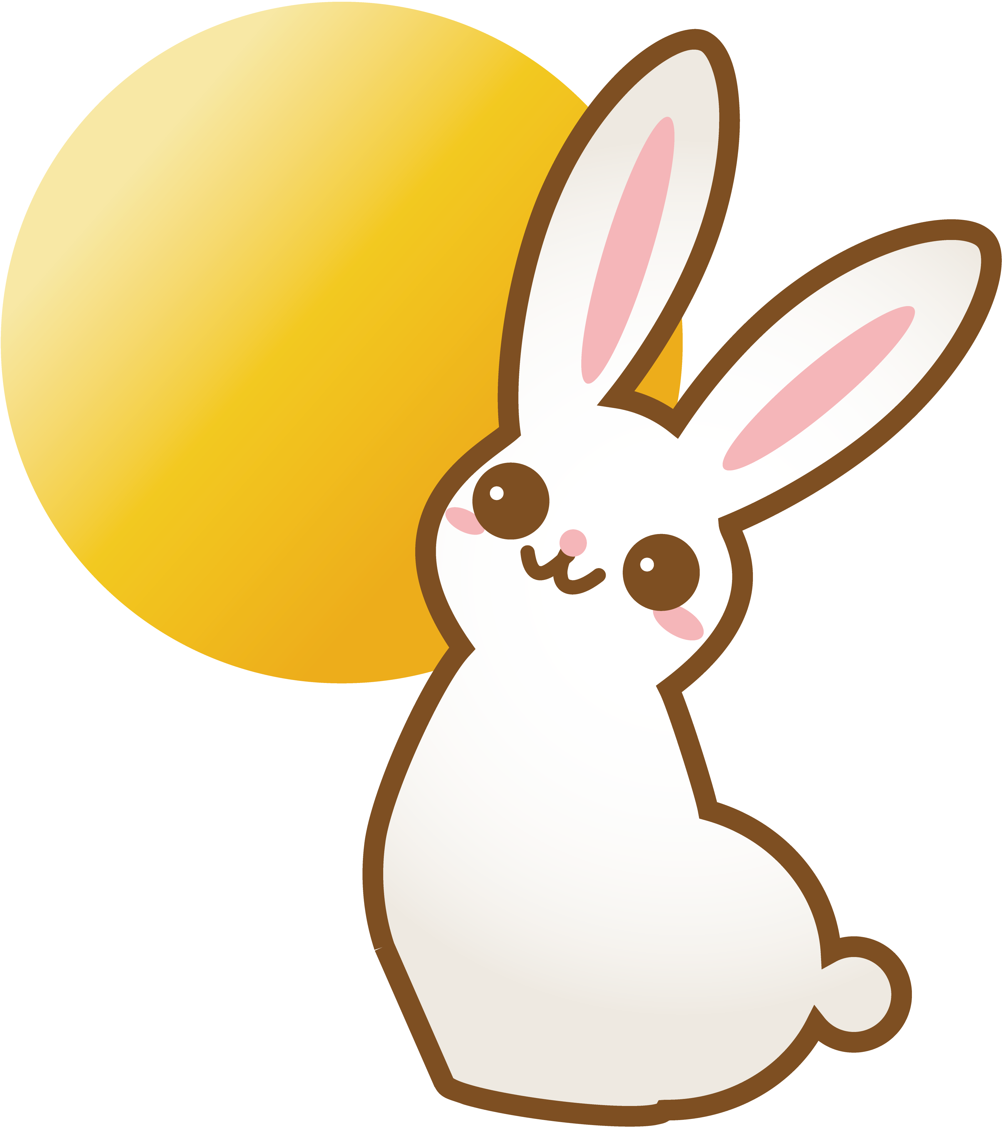 Rabbit bunny animal cute free image download