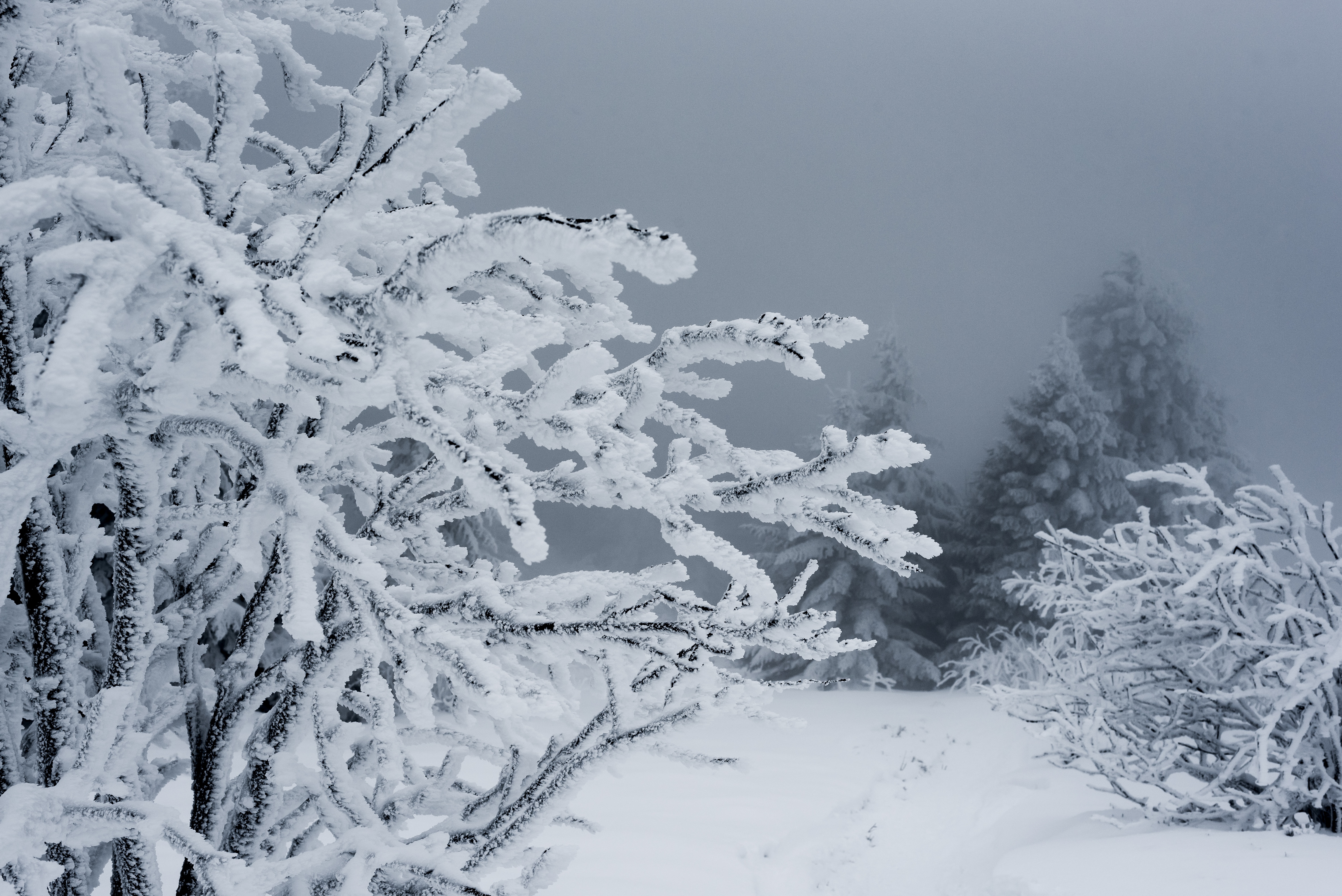 Зимой мороз какой. Климат снег. Пиксабай снег. Snowy картинка. Картинки климат снег.