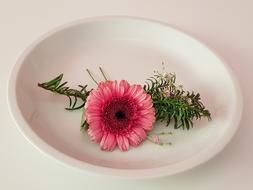 Table Decoration Gerbera Flower