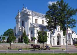 white building with a palm tree