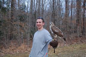 Wood Nature Outdoors