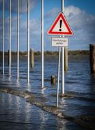 Elbe High Water Nature