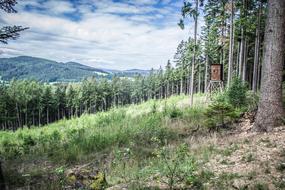 Views Landscape Clouds