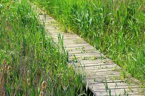Footbridge Wooden Bridge Boards