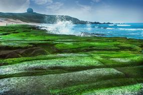 Nature Landscape Grass