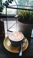 foamy coffee against a backdrop of flowers