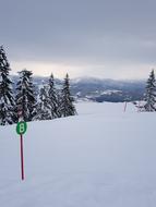 Snow Winter Colds
