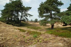 Nature Landscape Outdoor