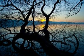 Sempachersee Sempach Lake