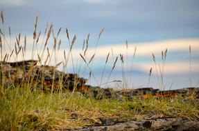 Hay Sky Landscape