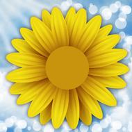 yellow flower is beautiful in the blue sky
