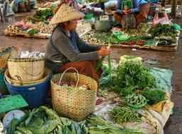 Vegetables Trader at Market