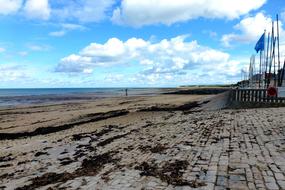 Nature France Normandy Body Of