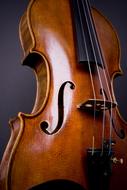 Violin Orchestra
