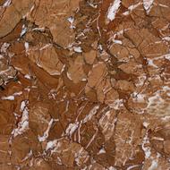 natural Rock Tiles background