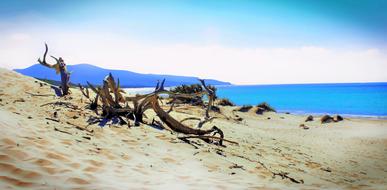 Sand Beach Nature